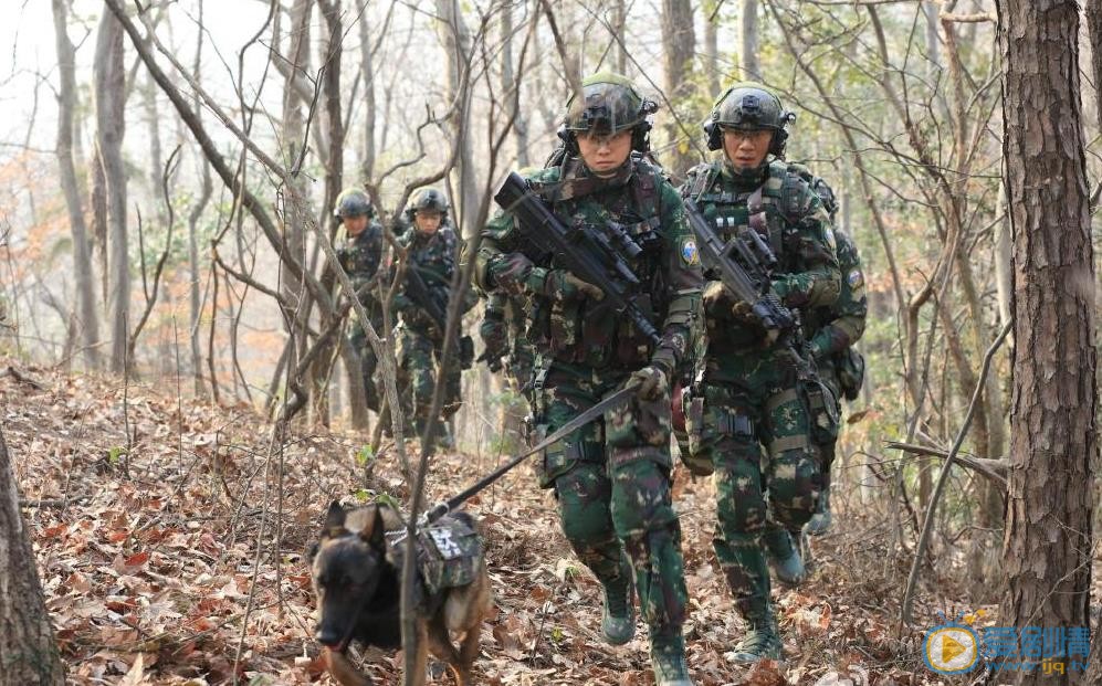 任天野《特种兵之霹雳火》剧照 任天野高清写真_任天野高清剧照