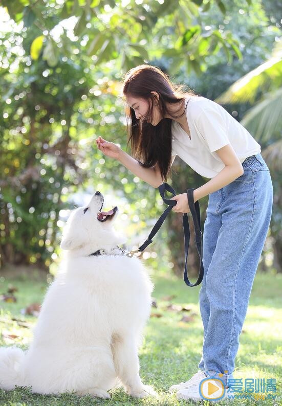 宋妍霏萌宠写真 宋妍霏高清写真_宋妍霏高清剧照