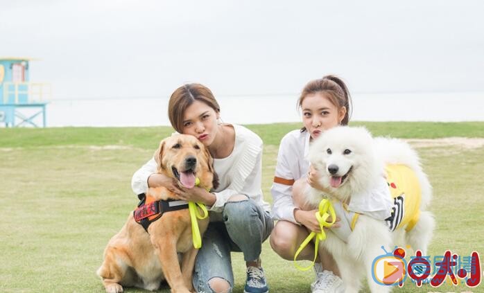 宋妍霏《神犬小七3》剧照 宋妍霏高清写真_宋妍霏高清剧照