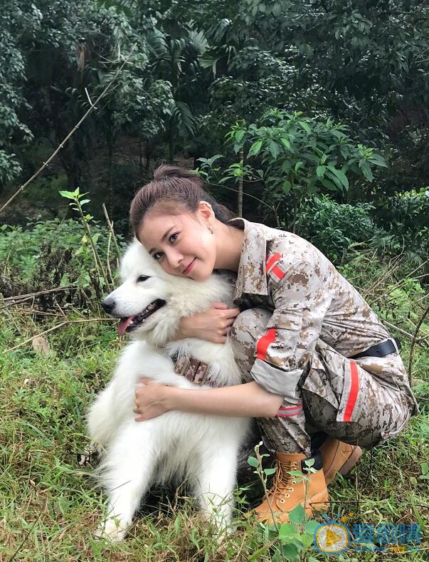 宋妍霏《神犬小七3》剧照 宋妍霏高清写真_宋妍霏高清剧照