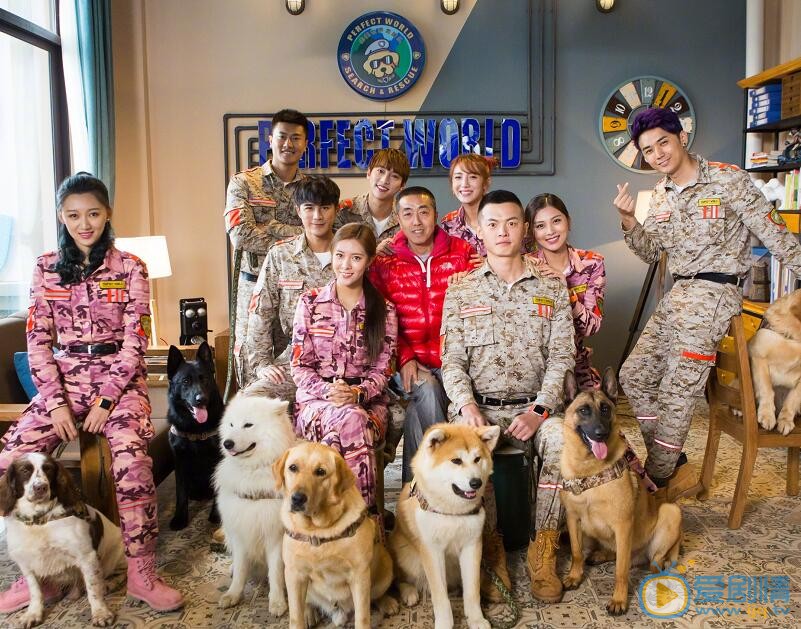 宋妍霏《神犬小七3》剧照 宋妍霏高清写真_宋妍霏高清剧照