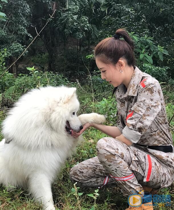 宋妍霏《神犬小七3》剧照 宋妍霏高清写真_宋妍霏高清剧照