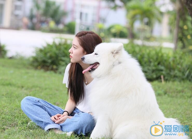 宋妍霏《神犬小七3》剧照 宋妍霏高清写真_宋妍霏高清剧照