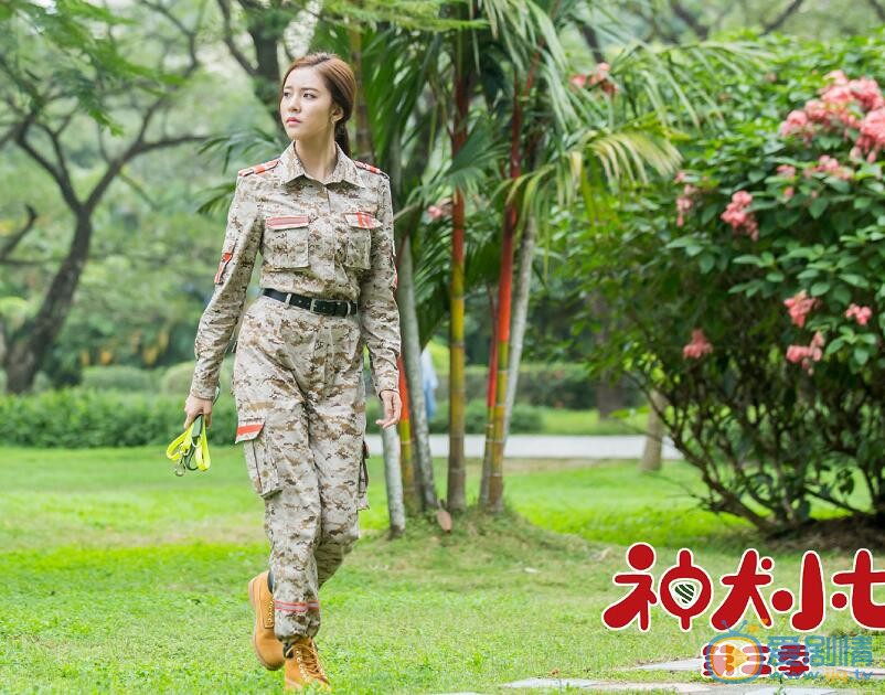 宋妍霏《神犬小七3》剧照 宋妍霏高清写真_宋妍霏高清剧照