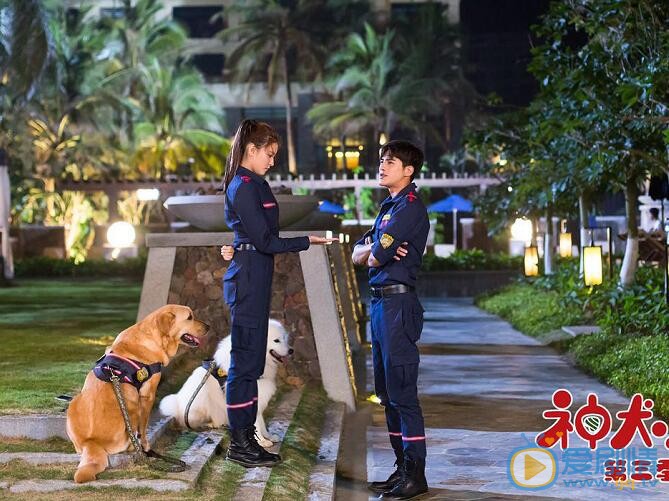 宋妍霏《神犬小七3》剧照 宋妍霏高清写真_宋妍霏高清剧照