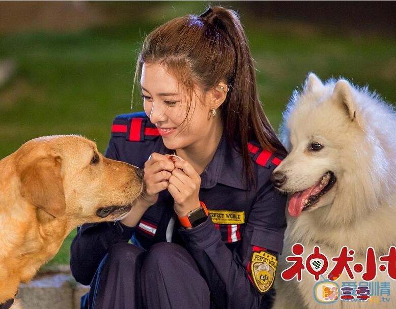 宋妍霏《神犬小七第三季》剧照 宋妍霏个人资料简介
