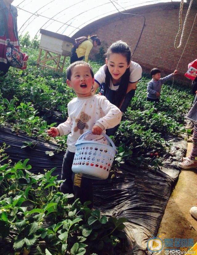 张定涵公益活动 张定涵高清写真_张定涵高清剧照