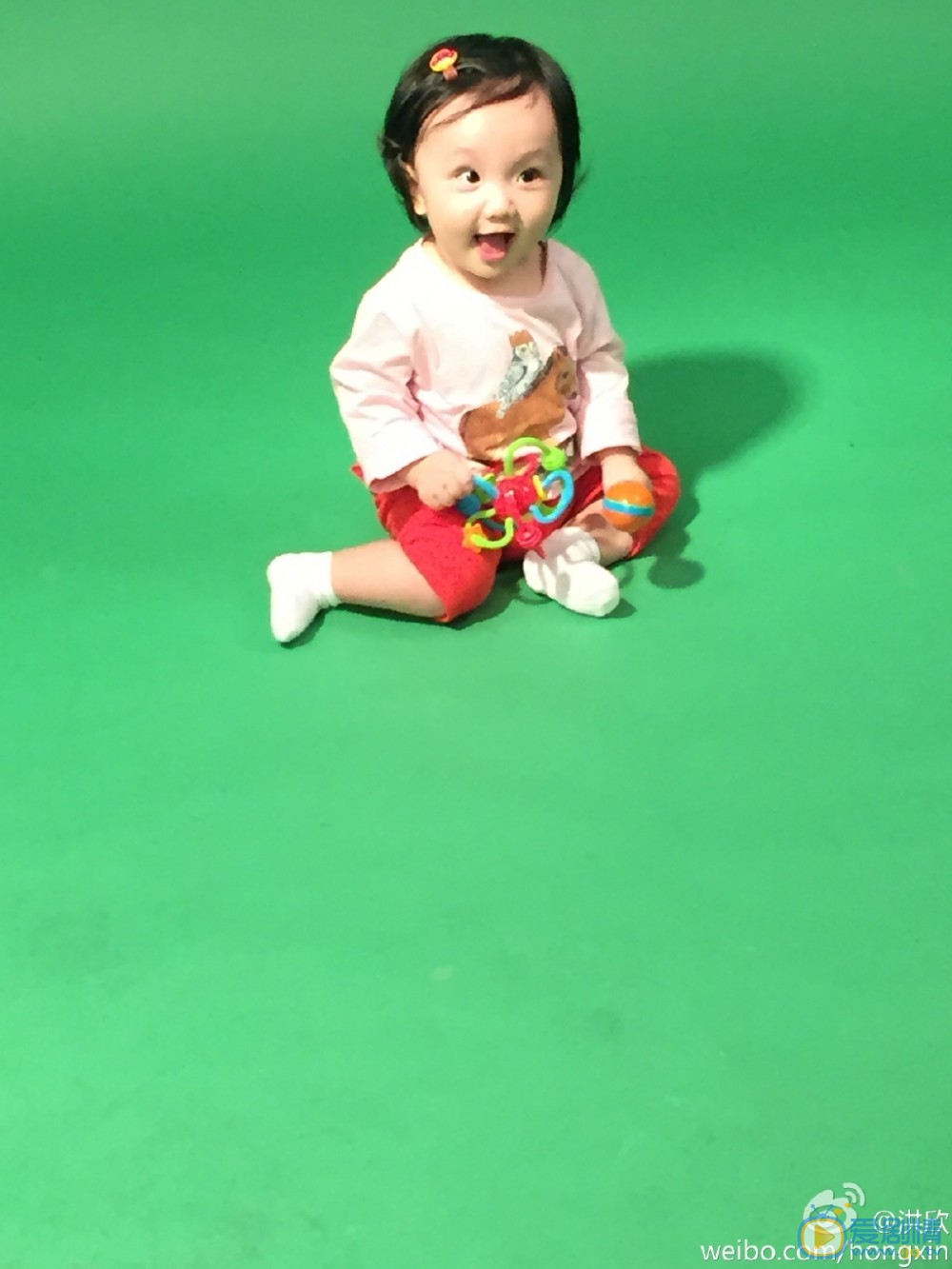 洪欣女儿张晞彤照片 洪欣高清写真_洪欣高清剧照