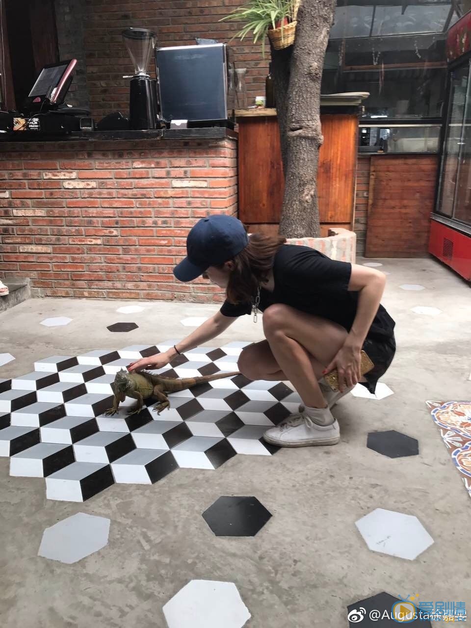 徐嘉雯生活照 徐嘉雯高清写真_徐嘉雯高清剧照