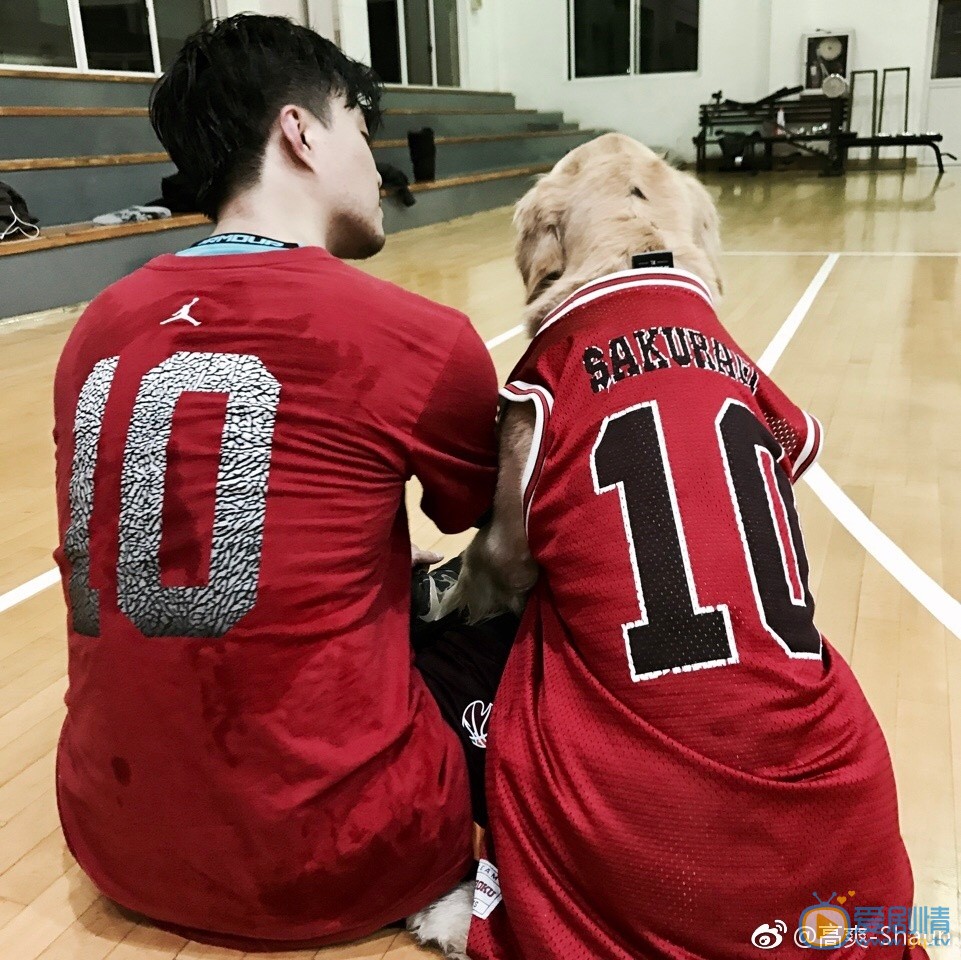高爽生活照 高爽高清写真_高爽高清剧照