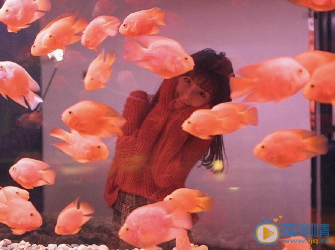 王玲玉红色写真 王玲玉高清写真_王玲玉高清剧照