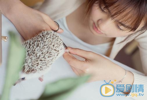 林千鹿刺猬写真 林千鹿高清写真_林千鹿高清剧照