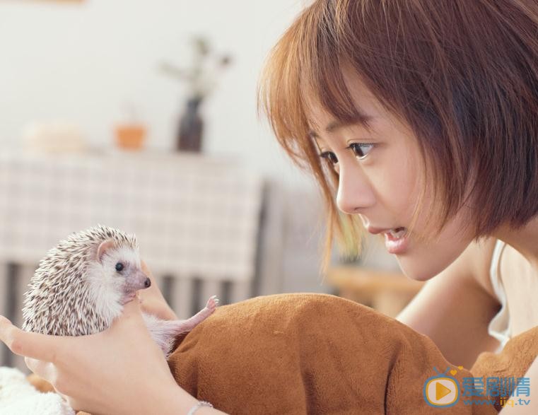 林千鹿刺猬写真 林千鹿高清写真_林千鹿高清剧照