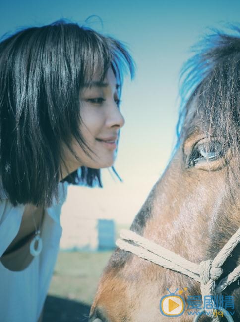 徐申东草原写真 徐申东高清写真_徐申东高清剧照
