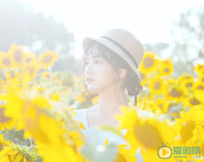 溪格向日葵写真 溪格高清写真_溪格高清剧照