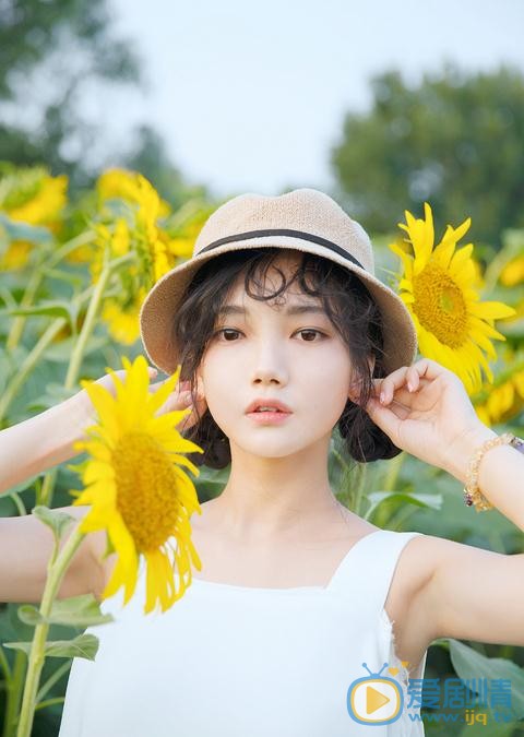 溪格向日葵写真 溪格高清写真_溪格高清剧照