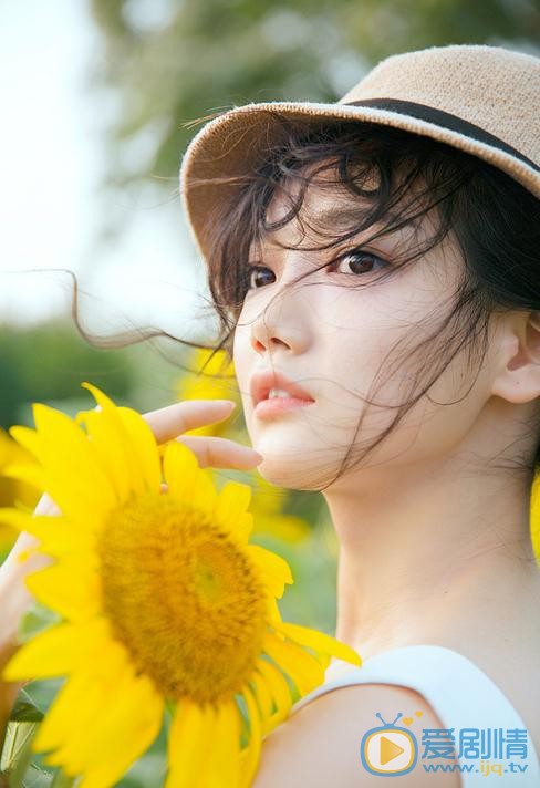 溪格向日葵写真 溪格高清写真_溪格高清剧照