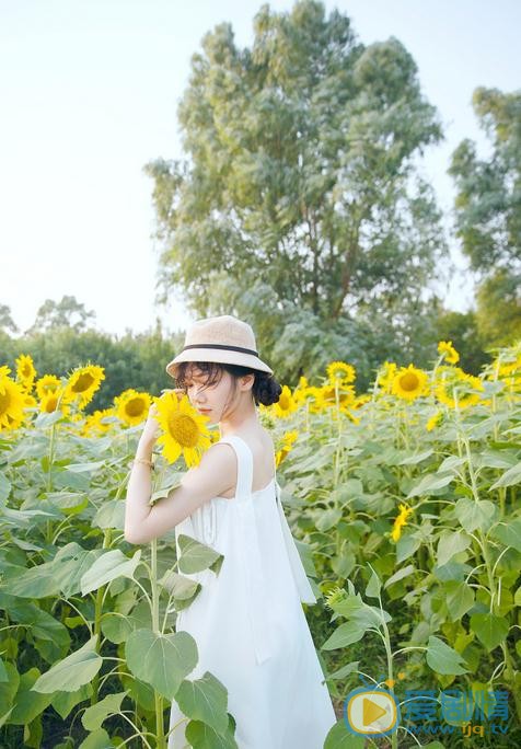 溪格向日葵写真 溪格高清写真_溪格高清剧照