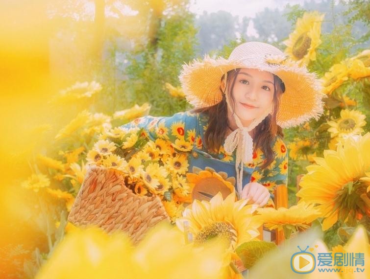 张格向日葵少女写真 张格高清写真_张格高清剧照