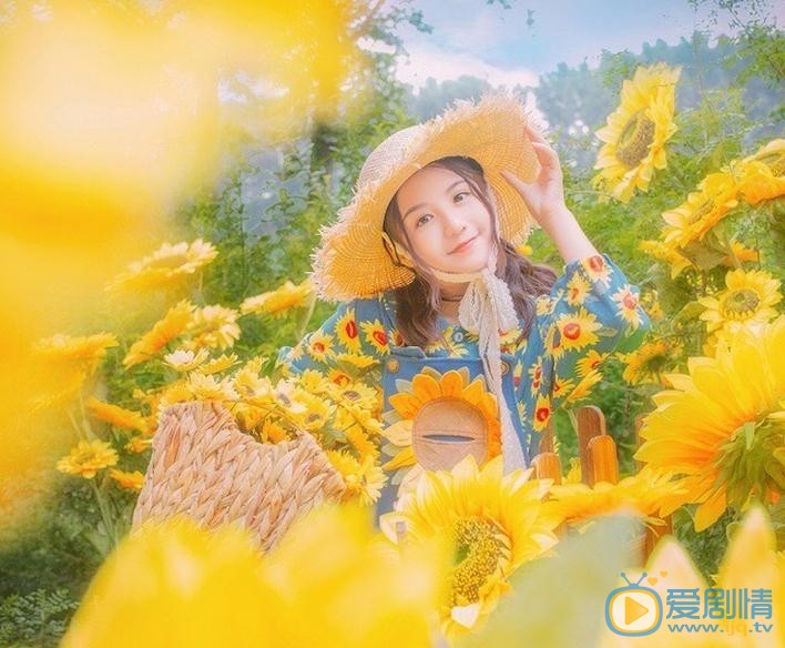 张格向日葵少女写真 张格高清写真_张格高清剧照