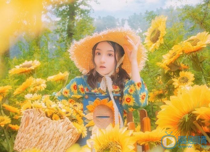 张格向日葵少女写真 张格高清写真_张格高清剧照