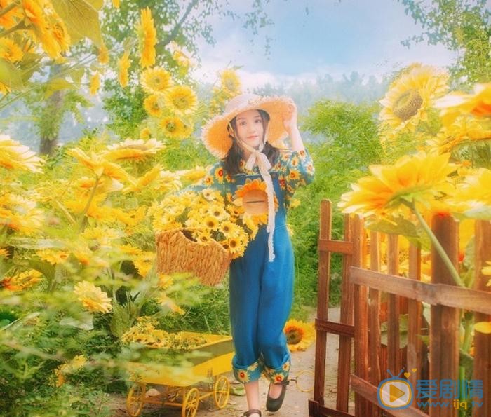 张格向日葵少女写真 张格高清写真_张格高清剧照