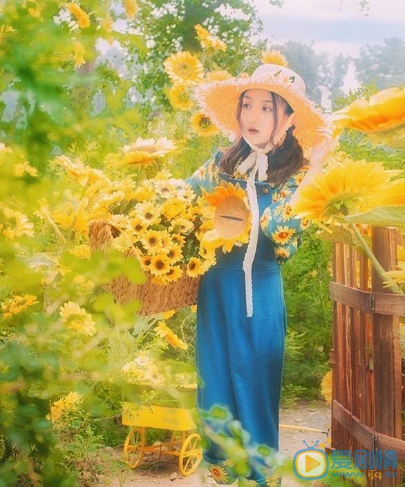 张格向日葵少女写真 张格高清写真_张格高清剧照
