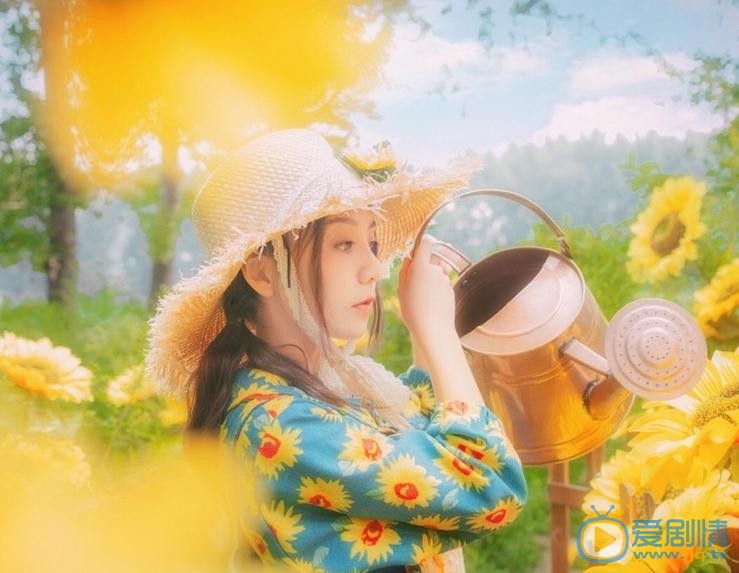 张格向日葵少女写真 张格高清写真_张格高清剧照
