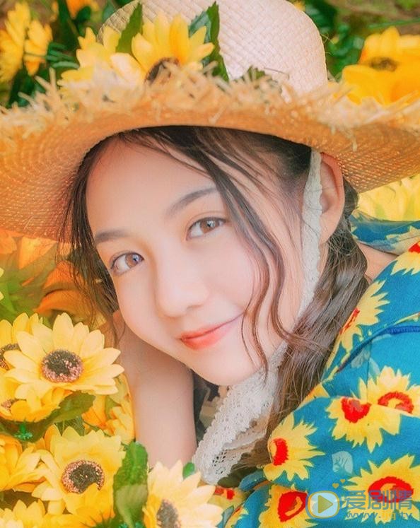 张格向日葵少女写真 张格高清写真_张格高清剧照