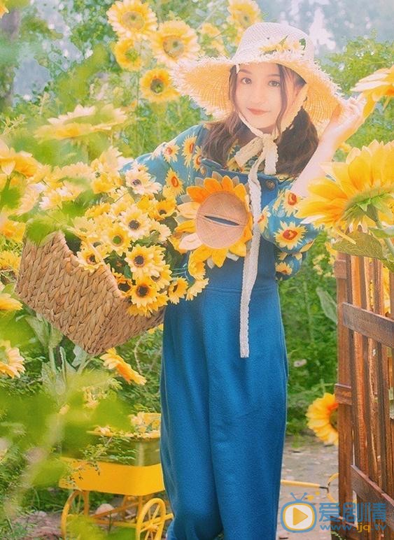 张格向日葵少女写真 张格高清写真_张格高清剧照