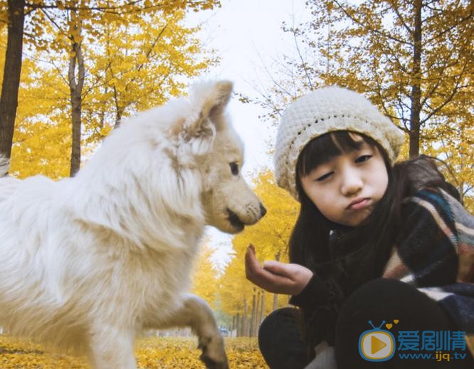 张格秋日写真 张格高清写真_张格高清剧照