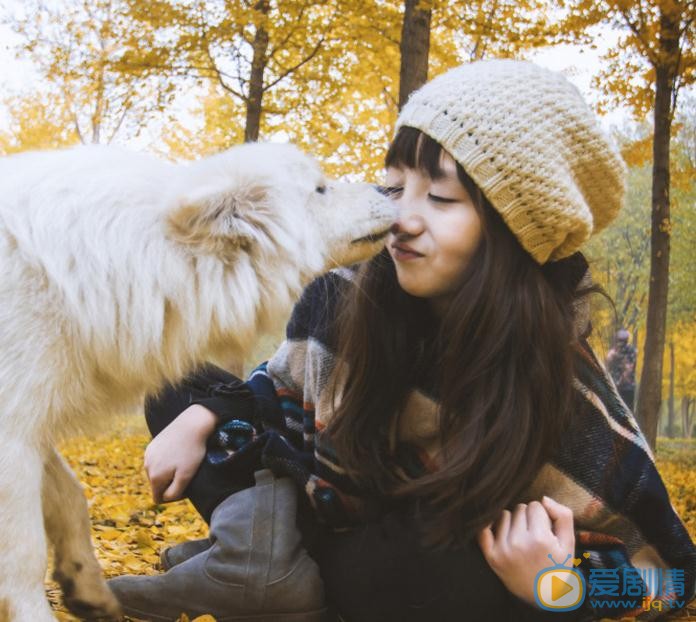 张格秋日写真 张格高清写真_张格高清剧照