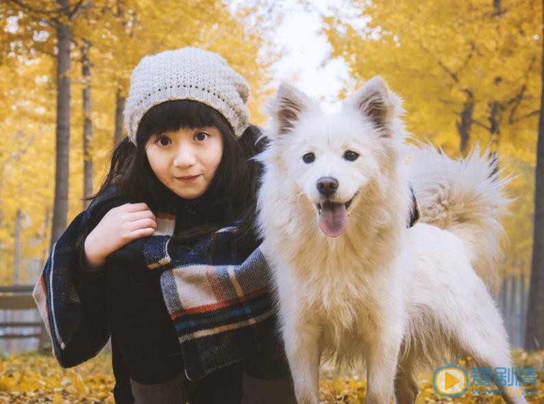 张格秋日写真 张格高清写真_张格高清剧照