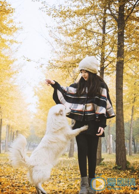 张格秋日写真 张格高清写真_张格高清剧照