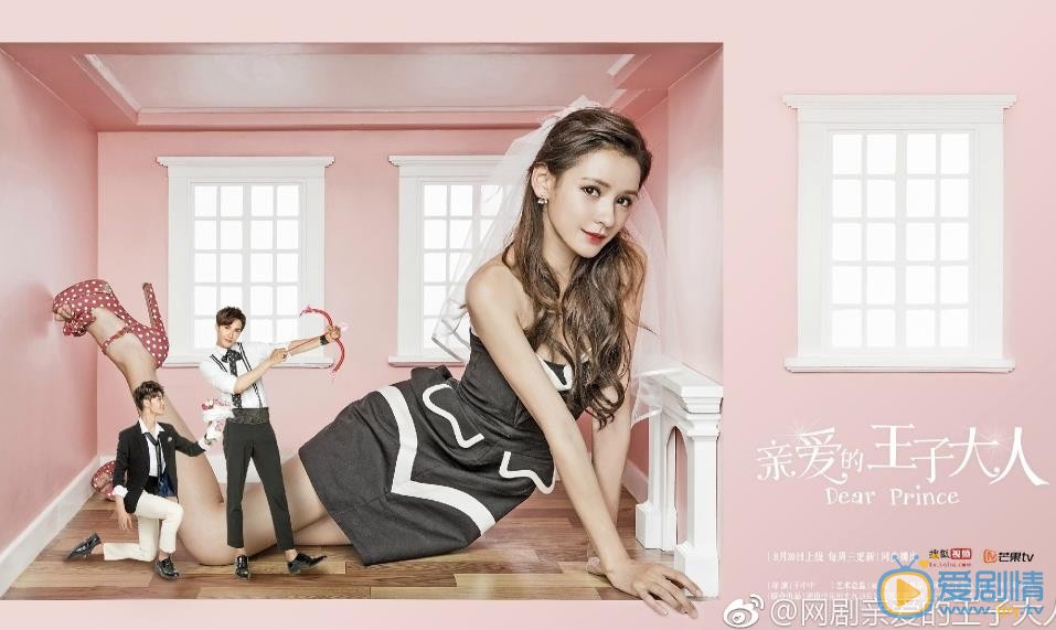 亲爱的王子大人剧照
