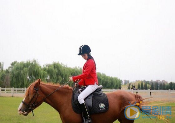 梦秦与马写真 梦秦高清写真_梦秦高清剧照