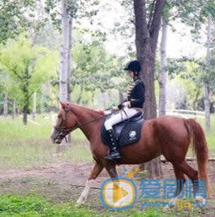 梦秦与马写真 梦秦高清写真_梦秦高清剧照