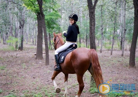 梦秦与马写真 梦秦高清写真_梦秦高清剧照