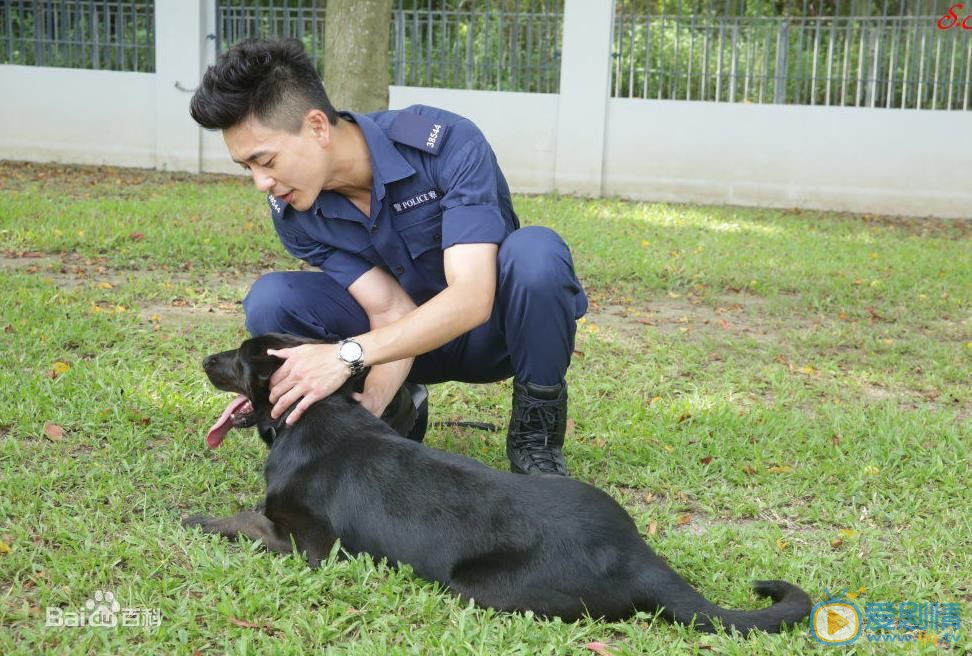 黄宗泽《警犬巴打》剧照 黄宗泽高清写真_黄宗泽高清剧照