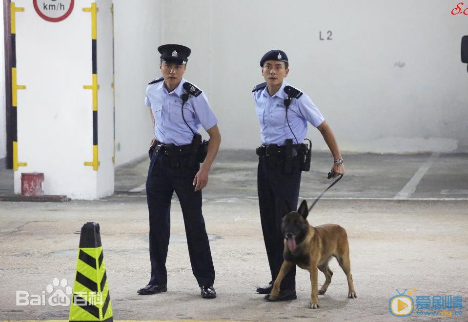 黄宗泽《警犬巴打》剧照 黄宗泽高清写真_黄宗泽高清剧照