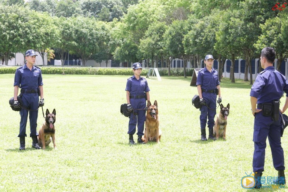 黄宗泽《警犬巴打》剧照 黄宗泽高清写真_黄宗泽高清剧照
