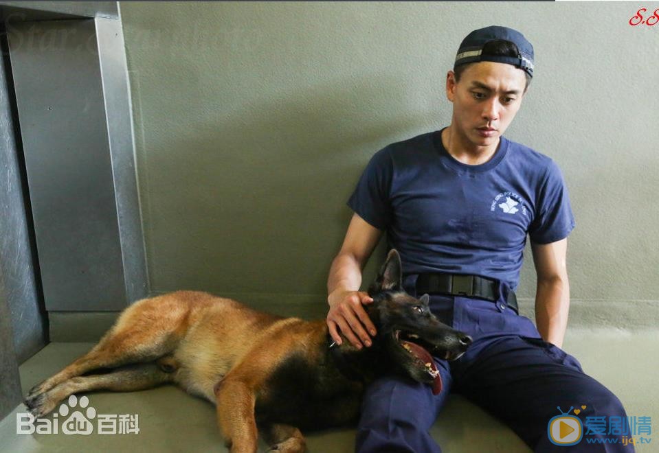 黄宗泽《警犬巴打》剧照 黄宗泽高清写真_黄宗泽高清剧照