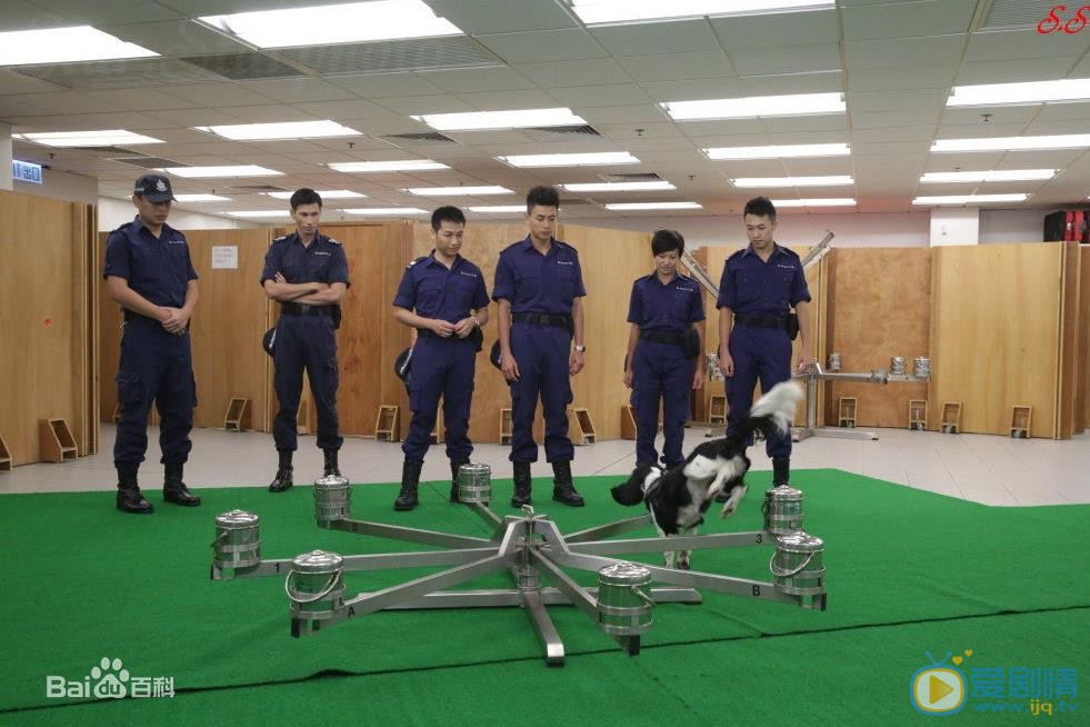 黄宗泽《警犬巴打》剧照 黄宗泽高清写真_黄宗泽高清剧照