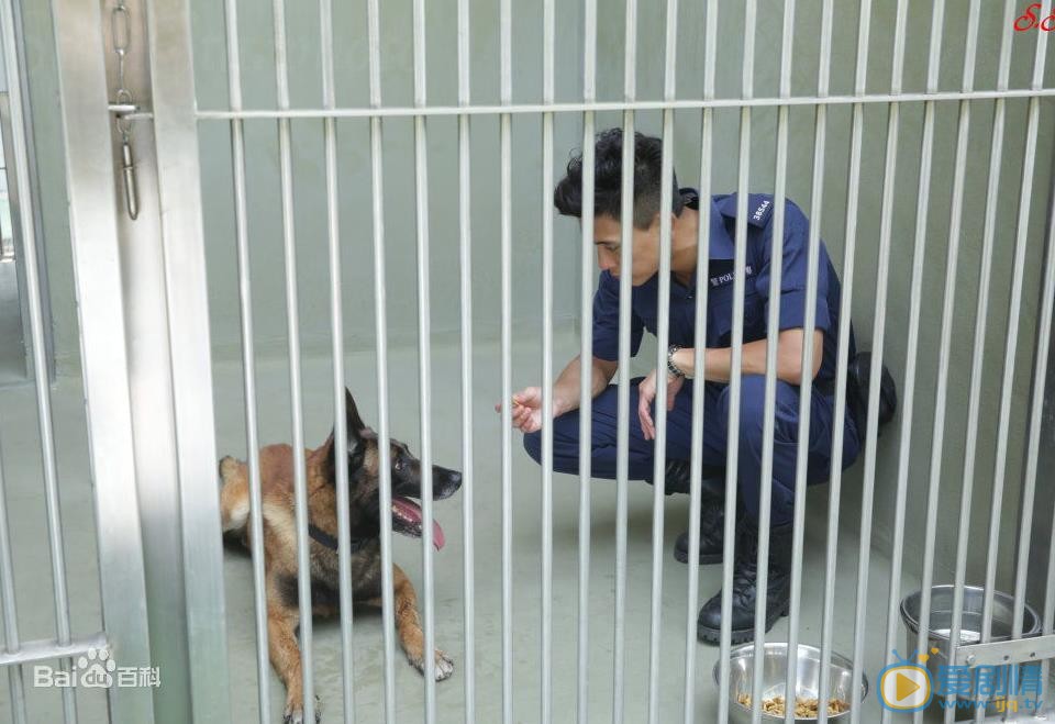 黄宗泽《警犬巴打》剧照 黄宗泽高清写真_黄宗泽高清剧照