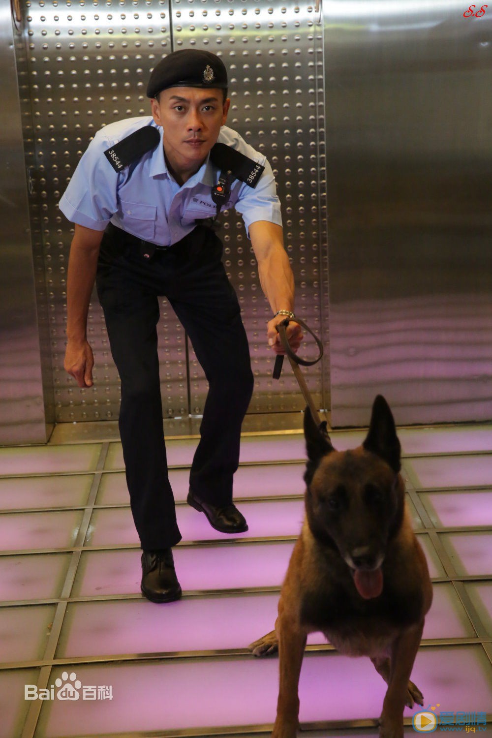 黄宗泽《警犬巴打》剧照 黄宗泽高清写真_黄宗泽高清剧照