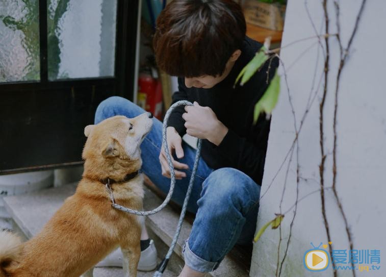 焦睿宠物写真 焦睿高清写真_焦睿高清剧照