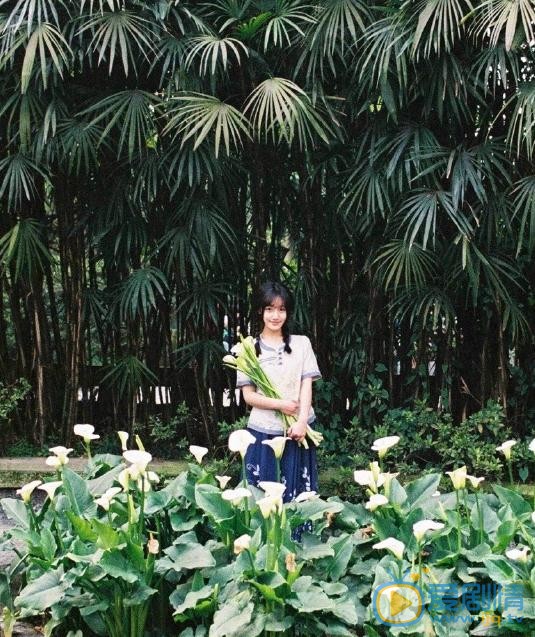 高晴悠闲写真 高晴高清写真_高晴高清剧照
