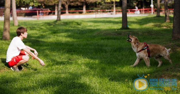 肖大千宠物写真 肖大千高清写真_肖大千高清剧照