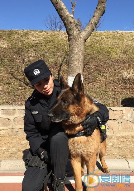 马小媛《警花与警犬之再上征程》剧照 马小媛高清写真_马小媛高清剧照