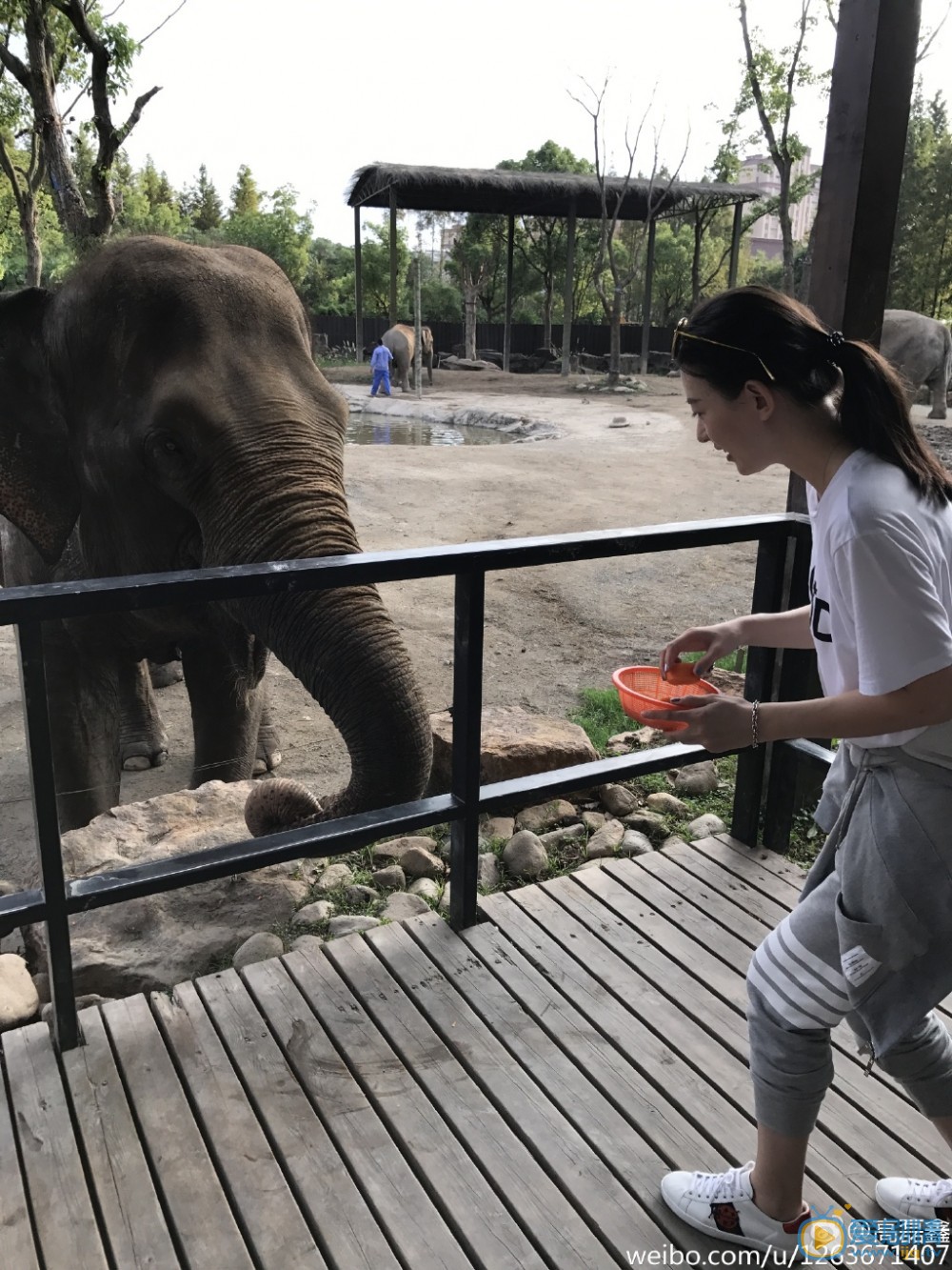 高磊鑫随性旅行照 高磊鑫高清写真_高磊鑫高清剧照